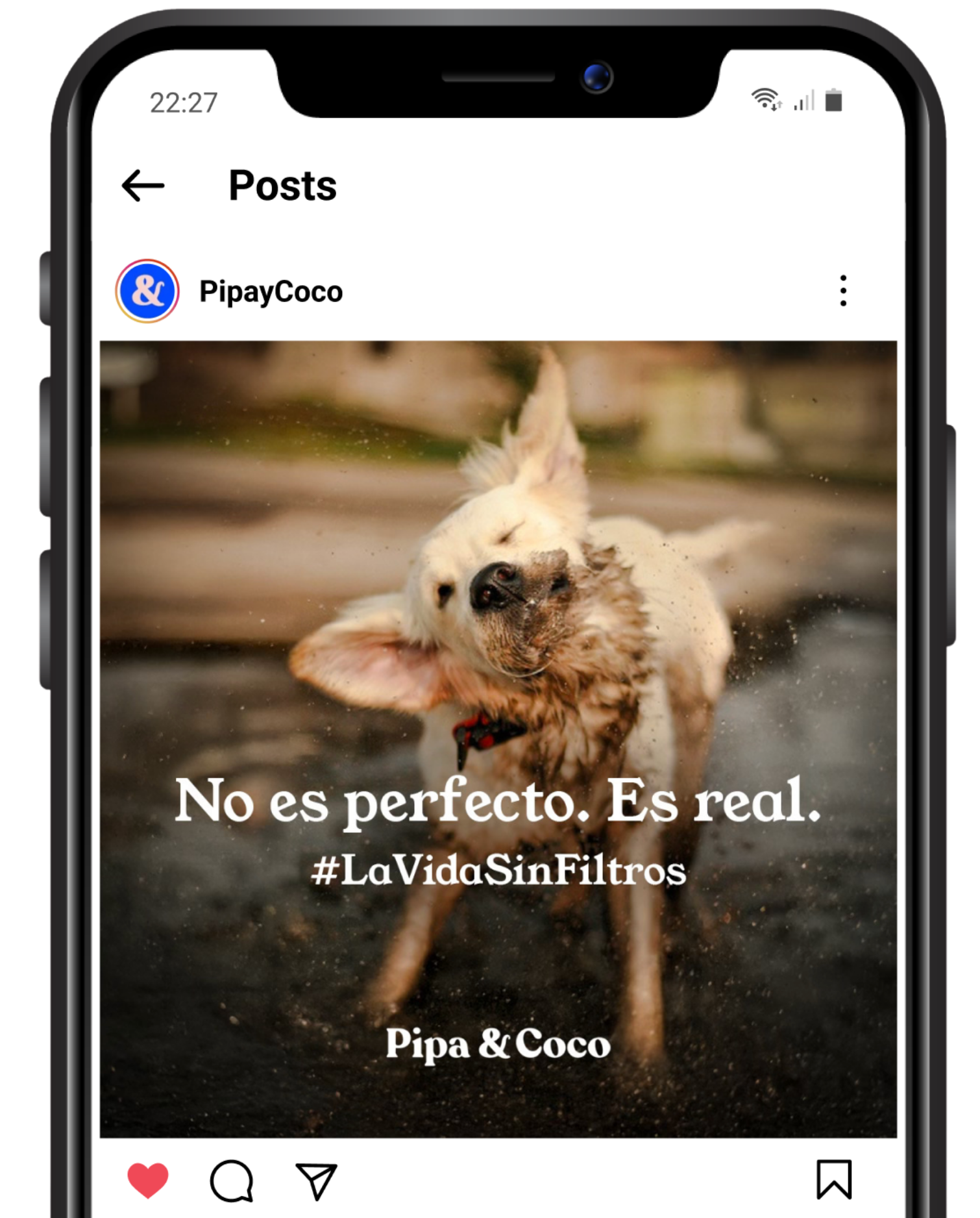 Mockup post de Instagram de Pipa e Coco